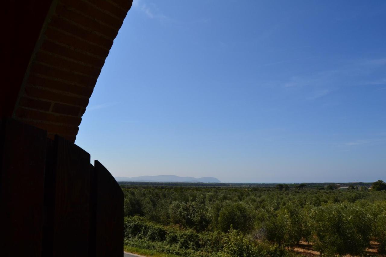 Podere San Giuseppe San Vincenzo Exteriör bild