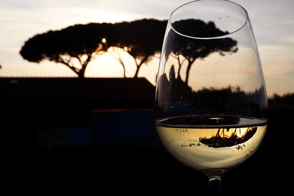 Podere San Giuseppe San Vincenzo Exteriör bild